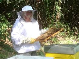 Check spelling or type a new query. B B La Maison Des Abeilles Monza De