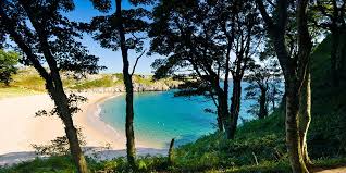 Looking for hotels in cardiff, wales? 8 Beautiful Places In Wales That Could Be Mistaken For Bali