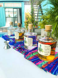 Last december, alberto added a tequila bar to his restaurant sayulita fish taco. 17 Things To Do In Sayulita Mexico Where In The World Is Nina