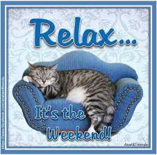 Gambar haiwan comel kartun haiwan kucing binatang clipart haiwan ilustrasi yang dilukis dengan tangan haiwan png dan psd untuk muat turun percuma. Pin By Anna On Good Morning Good Night And Everything In Between Happy Weekend Good Morning Good Night Good Jokes