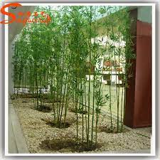 You'll receive email and feed alerts when new items arrive. Guangzhou Supplier Wholesale Artificial Plastic Bamboo Poles Cheap Lucky Bamboo Tree Leaves Branch Plants Indoor Decoration Buy Bamboo Poles Cheap Artificial Bamboo Poles Plastic Bamboo Poles Product On Alibaba Com