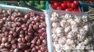 We did not find results for: Harga Bawang Merah Dan Bawang Putih Di Kediri Naik Sambut Tahun Baru Faktor Ini Jadi Penyebab Tribun Madura