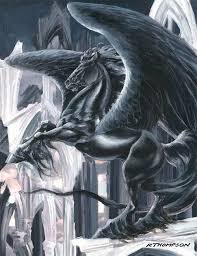 The Black Knight Scary Optical Illusions Magical Horses Fantasy Horses