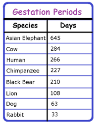 comparing life cycles of mammals lesson for kids study com