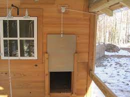 25 best ideas about chicken roost on pinterest chicken guillotine homemade door 28 single powered bobca chicken diy chicken roost automatic chicken coop door