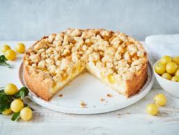 mirabellenkuchen mit pudding einfach mit vanillepudding die besten backrezepte mit gelinggarantie rezept mirabellenkuchen mirabellen kuchen backrezepte