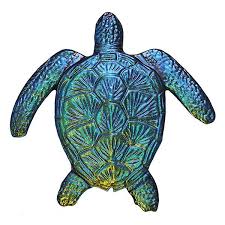 Fusion Loggerhead Turtle Rainbow Resimler