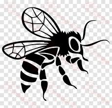 Depending on your choice of graphic design/photo editing program, you can use filters, lines, borders, colors, fades, opacity, contrast, patterns, and many other tools to tweak your bumper sticker designs. Car Bee Decal Bumper Sticker Arthropod Template Black Transparent Png