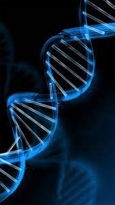Dna Pattern Design Wallpaper In Blue Background Art Line Dna Pattern Wallpaper Blue Backgroun Technology Wallpaper Wallpaper Images Hd Graphic Wallpaper