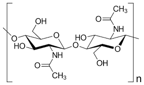 Check spelling or type a new query. Cell Wall Wikiwand