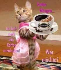 Der richtige spruch am morgen kann einen riesigen unterschied machen, denn nach dem aufstehen wird oft schon unsere ganze stimmungslage für den kommenden tag bestimmt. Pin Von Birgitt Schneider Auf Guten Morgen 2 Guten Morgen Lustig Lustige Guten Morgen Spruche Guten Morgen