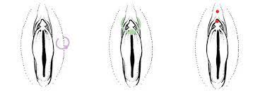 An Ultimate Clit Piercing Guide