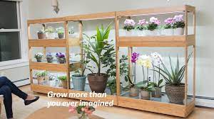 Bamboo Home Led Grow Light Garden Indoor Plant Lights Growing Plants Indoors Indoor Grow Lights