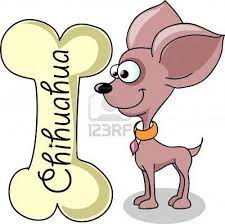 Caricatura Perro De Raza Chihuahua Perros Chihuahua Perros Perros En Caricatura