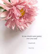 Vic On Instagram Drizzle Happy Monday Loves Flower Quotes Girly Quotes Reality Quotes