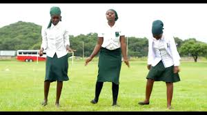 And twins sean and collins. Full List Of 2018 National Arts Merit Awards Nama Nominees Pindula News