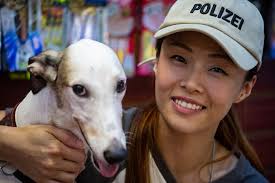 IACM chief believes greyhound adoption to be completed in May