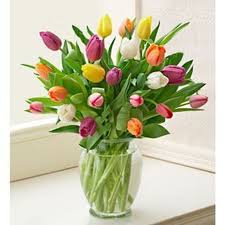 See more ideas about same day flower delivery, flower delivery, florist. Spring Is Here Dutch Tulips Florist Flower Shop Calgary Flower Delivery Calgary Flowers Best Florist Calgary