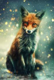 Mr Fox By Phatpuppyart Studios On Deviantart Cute Animal Drawings Kawaii Cute Animal Drawings Fox Background