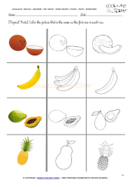 In case you were wondering why i have multiple pages of fruit coloring: Fruits Worksheet 42 Color The Same Tropical Fruit