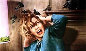 Slight Hitch after birds tern on the island twitchers | UK | News ...