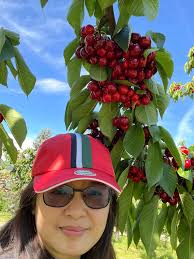 Thank you Donut Land