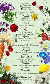The victorians made an art of it. 30 Language Of Flowers Ideas Language Of Flowers Flowers Flower Meanings