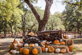 Maybe you would like to learn more about one of these? Meet Me At The Pumpkin Patch Fall 2020 Focus Daily News