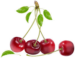| view 140 cherry cherries illustration, images and graphics from +50,000 possibilities. Cherries Png Clipart Best Web Clipart