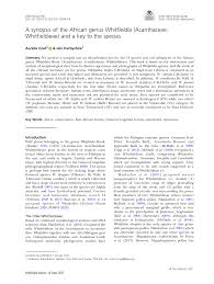 Image result for Whitfieldia brazzae