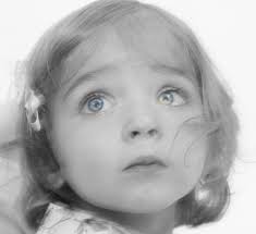 Paul Williamson Photography