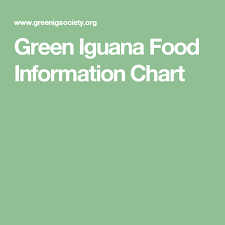 green iguana food information chart lizards and turtles