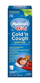 Hylands 4 Kids Cold N Cough Nighttime Ages 2 12 4 0 Fl Oz Walmart Com