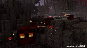 Our servers are monitored 24/7 to ensure their uninterrupted. Minecraft 1 16 De Nether Update Serverbuilds