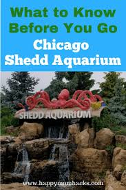 Maybe you would like to learn more about one of these? Chicago Shedd Aquarium Family Tips And Things To Do Happy Mom Hacks Shedd Aquarium Chicago Things To Do Chicago Vacation
