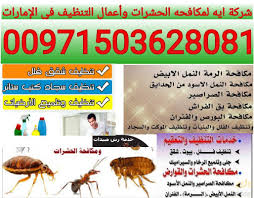 شركة مكافحه حشرات في العين ايه 00971503628081 شركة تنظيف في دبي الشارقه العين شركة ايه للتنظيف ومكافحة الحشرات في الإمارات شركة تنظيف في دبي الشار Playbill
