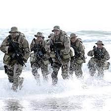 Navy Seals 10 Key Missions History