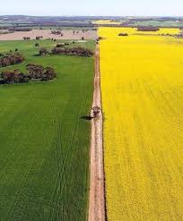 Northam 100 Km North East Of Perth Western Australia Travel Australia Travel Western Australia