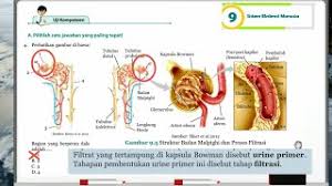 Maybe you would like to learn more about one of these? Jawaban Uji Kompetensi Bab 9 Ipa Kelas 8 Soal Pilihan Ganda Hal 110 Youtube