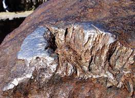 The size of gold nuggets that have been found there in the past. Irish Meteor Hunters Here Are 5 Steps To Finding A Meteorite