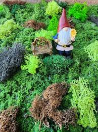 Image result for http://i.imgur.com/9sBdVpV.jpg