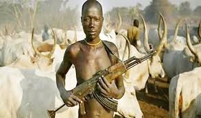 Image result for HERDSMEN ATTACK