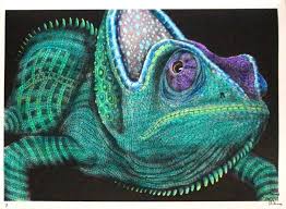 Tim Jeffs Intricate Ink Animals In Details Volume 1 Chameleon 2 Coloured With Marco Renoir Colored Pencil Artwork Animal Sketches Color Pencil Drawing