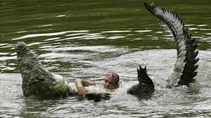 The alligator will be more likely to give up during an attack if it feels it has underestimated the nature of its prey. Man Wrestles Crocodile Youtube