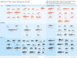 Information Is Beautiful Which Fish Are Good To Eat Visualised Fish Eat Food Infographic