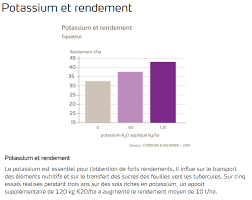 Environ 1kg5 par pied en moyenne, souvent au delà des 2kg avec. Role Du Potassium Dans La Production De Pommes De Terre Yara Belgique