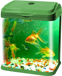 I also tell you why i use each protect and how. Fish Aquatic Pets 16 Promotion Acrylic Fish Bowl Wall Hanging Aquarium Tank Aquatic Pet Supplies Pet Products Wall Mount Fish Tank For Betta Fish Mirror Back 15cm Pet Supplies Samel Com Br