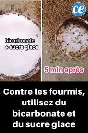 Epingle Sur Fourni