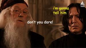 Harry potter has 7 books, 8 films, and a dedicated fanbase. Harry Potter Memes That Prove Snape Secretly Cared For Harry All Along Animated Times