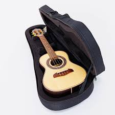 Image result for Cavacoa